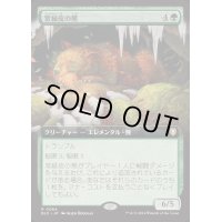 [EX+](フルアート)常緑皮の熊/Evercoat Ursine《日本語》【BLC】