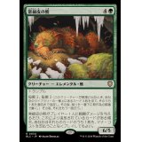 常緑皮の熊/Evercoat Ursine《日本語》【BLC】