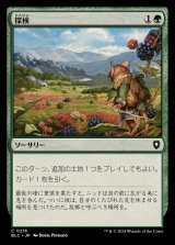 探検/Explore《日本語》【BLC】