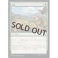 [EX+]探検/Explore《日本語》【BLC】