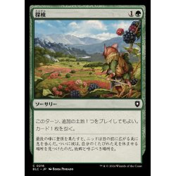 画像1: 探検/Explore《日本語》【BLC】