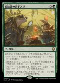 根鋳造の弟子入り/Rootcast Apprenticeship《日本語》【BLC】