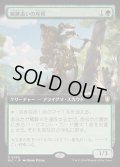 [EX+](フルアート)痕跡追いの斥侯/Trailtracker Scout《日本語》【BLC】