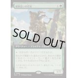 [EX+](フルアート)痕跡追いの斥侯/Trailtracker Scout《日本語》【BLC】