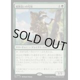 [EX+]痕跡追いの斥侯/Trailtracker Scout《日本語》【BLC】