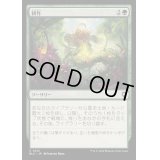 [EX+]耕作/Cultivate《日本語》【BLC】