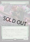 [EX+](フルアート)血根の薬剤師/Bloodroot Apothecary《日本語》【BLC】