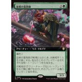 (フルアート)血根の薬剤師/Bloodroot Apothecary《日本語》【BLC】