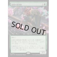 [EX+](フルアート)血根の薬剤師/Bloodroot Apothecary《日本語》【BLC】