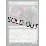 [EX+]血根の薬剤師/Bloodroot Apothecary《日本語》【BLC】