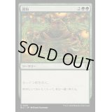 [EX+]調和/Harmonize《日本語》【BLC】