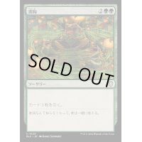 調和/Harmonize《日本語》【BLC】