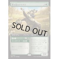 [EX+](フルアート)輝き茸のアナグマ/Brightcap Badger《日本語》【BLC】
