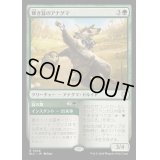 [EX+]輝き茸のアナグマ/Brightcap Badger《日本語》【BLC】