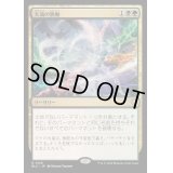 [EX+]大渦の脈動/Maelstrom Pulse《日本語》【BLC】