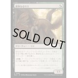 [EX+]貪欲なるリス/Ravenous Squirrel《日本語》【BLC】