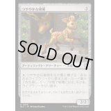 [EX+]つややかな雄鹿/Burnished Hart《日本語》【BLC】