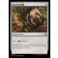 ゴルガリの印鑑/Golgari Signet《日本語》【BLC】