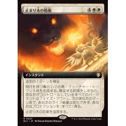 画像1: [EX+](フルアート)止まり木の防衛/Perch Protection《日本語》【BLC】