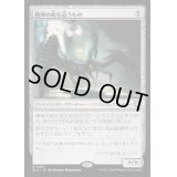 [EX+]精神の病を這うもの/Psychosis Crawler《日本語》【BLC】