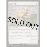 [EX+]金粉の水蓮/Gilded Lotus《日本語》【BLC】