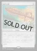 [EX+]鼠声の剣/Sword of the Squeak《日本語》【BLC】