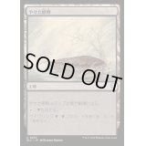 [EX+]やせた原野/Barren Moor《日本語》【BLC】
