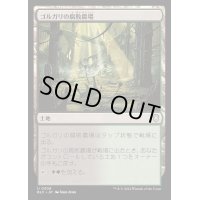 ゴルガリの腐敗農場/Golgari Rot Farm《日本語》【BLC】