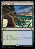 [EX+]ヤヴィマヤの沿岸/Yavimaya Coast《日本語》【BLC】