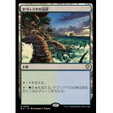 [EX+]ヤヴィマヤの沿岸/Yavimaya Coast《日本語》【BLC】