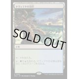 [EX+]ヤヴィマヤの沿岸/Yavimaya Coast《日本語》【BLC】