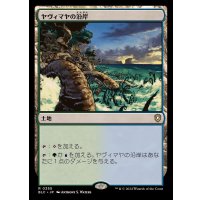 [EX+]ヤヴィマヤの沿岸/Yavimaya Coast《日本語》【BLC】
