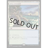 ヤヴィマヤの沿岸/Yavimaya Coast《日本語》【BLC】