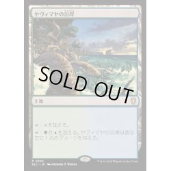画像1: [EX+]ヤヴィマヤの沿岸/Yavimaya Coast《日本語》【BLC】
