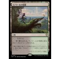 ラノワールの荒原/Llanowar Wastes《日本語》【BLC】
