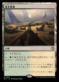 低木林地/Brushland《日本語》【BLC】
