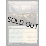 [EX+]低木林地/Brushland《日本語》【BLC】