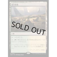 低木林地/Brushland《日本語》【BLC】