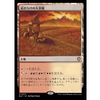 [EX+]岩だらけの大草原/Rugged Prairie《日本語》【BLC】