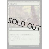 [EX+]平穏な茂み/Tranquil Thicket《日本語》【BLC】