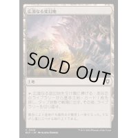 広漠なる変幻地/Terramorphic Expanse《日本語》【BLC】