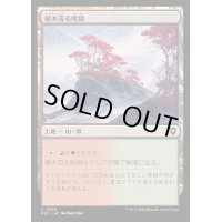 樹木茂る尾根/Wooded Ridgeline《日本語》【BLC】