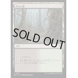[EX+]汚れた森/Tainted Wood《日本語》【BLC】