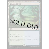 溢れかえる果樹園/Flooded Grove《日本語》【BLC】