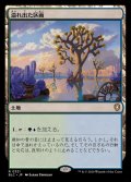 溢れ出た区画/Overflowing Basin《日本語》【BLC】