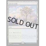 [EX+]溢れ出た区画/Overflowing Basin《日本語》【BLC】
