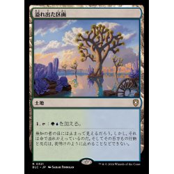 画像1: 溢れ出た区画/Overflowing Basin《日本語》【BLC】