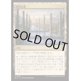 [EX+]祖先の道/Path of Ancestry《日本語》【BLC】