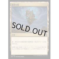 統率の塔/Command Tower《日本語》【BLC】