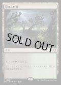 [EX+]緑ばんだ沼/Viridescent Bog《日本語》【BLC】